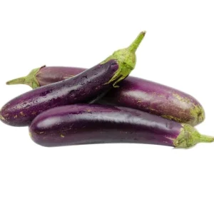 Long Purple Eggplant Seeds - 100 Seeds for Planting - Fresh Garden Seeds - Image 1