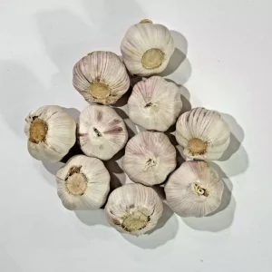 Mixed Garlic Bulbs for Planting – Hardneck Garlic Tubers – 0.5 Pound - Image 3