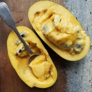 Pawpaw Tree Live Plants - Set of 2 Bare Roots, 6 Inch to 1 Ft, Hardy Fruit Tree - Image 3