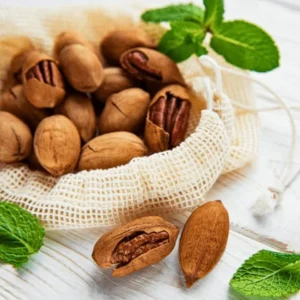 Pecan Tree Plants Live Bare Roots - 4 Pack, 1-2 Ft Tall, Hardy Nut Trees - Image 5