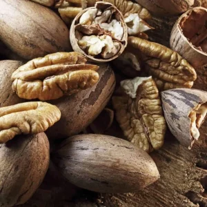 Pecan Tree Seedlings Bare Root - Set of 2, 1-2 ft Tall, Hardy Outdoor Nut Tree - Image 6