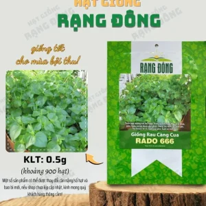 Peperomia Pellucida Seeds - 900 Seeds for Planting, Crab Claw Herb - Image 2