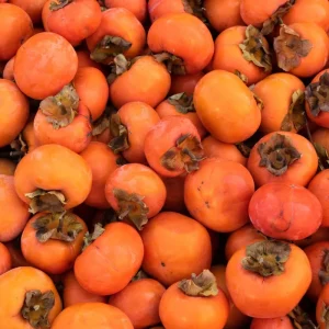 Persimmon Tree Live Plant - 6-12 Inch Tall, Quart Pot, Outdoor - Image 3