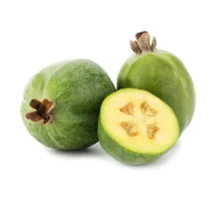 Pineapple Guava Plant Live for Planting, Feijoa Sellowiana Plant for Outdoor Garden 5 to 6 Inch Tall, Ship No Pot - Image 1