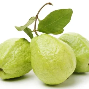 Pink Guava Live Plant for Outdoor Garden 8-12 Inch Tall - Sweet Fruiting Tree - Image 7