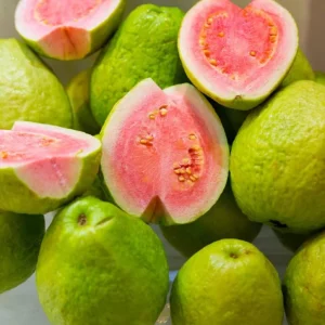 Pink Guava Tree Live Plant - 4 to 7 Inches Tall, Tropical Fruit for Indoor/Outdoor - Image 3