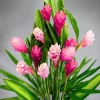 Pink Hawaiian Ginger Live Plant – 4-9 Inch Tall – Tropical Flowers for Garden - Image 1