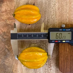 Pitangatuba 'Big Elongated Fruit' Star Cherry Live Plant - Eugenia Selloi Seedling 3-6'' Tall - Image 3