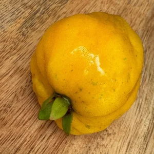 Pitombatuba Hybrid Fruit Tree Live Plant, Eugenia Selloi x Luschnathiana, 3-6 inch, 2.5-inch Pot - Image 10