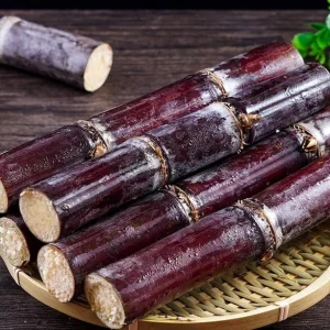 Purple Sugarcane Cuttings – 20 Unrooted Cuttings – 12