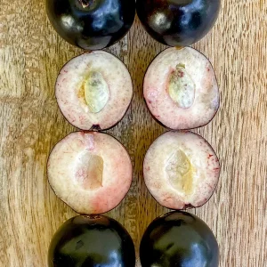 Rainforest Plum (Eugenia candolleana) Live Plant - Tropical Purple Fruit Tree Seedling, 2.5-5'' Tall - Image 7