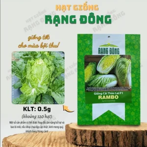 Rambo Cabbage Seeds - 120 Seeds for Planting, Napa Cabbage, 0.5 Gr - Image 3