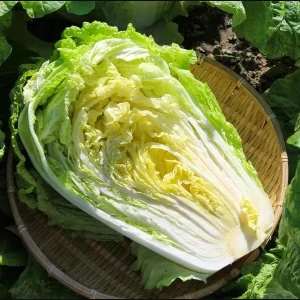 Rambo Cabbage Seeds - 120 Seeds for Planting, Napa Cabbage, 0.5 Gr - Image 5