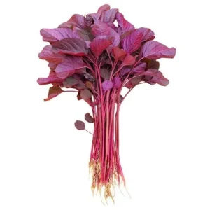 Red Amaranth Vietnamese Seeds – 7000 Seeds for Planting – Edible Greens - Image 2