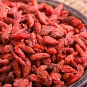 Red Goji Berry Cuttings - Set of 6, 8-10