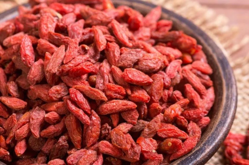 Red Goji Berry Cuttings - Set of 6, 8-10" Long - Lycium barbarum Edible Superfruit Plant for Propagation - Image 5