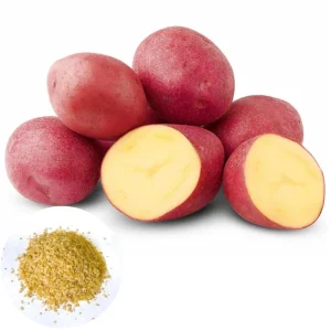 Red Potato Seeds for Planting - 140 Count - Easy Grow - Image 1