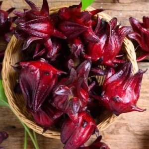 Roselle Live Plants, Red Roselle Hibiscus Plant Live, Jamaican Hibiscus Plants 8 to 12 Inc Tall , 2 Plants in Pot - Image 3