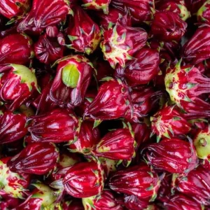 Roselle Live Plants, Red Roselle Hibiscus Plant Live, Jamaican Hibiscus Plants 8 to 12 Inc Tall , 2 Plants in Pot - Image 5