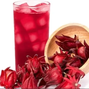 Roselle Live Plants, Red Roselle Hibiscus Plant Live, Jamaican Hibiscus Plants 8 to 12 Inc Tall , 2 Plants in Pot - Image 7