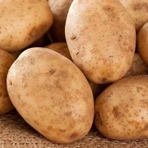 Russet Potato Seeds for Planting - 140 Count Heirloom Vegetable Seeds - Image 2