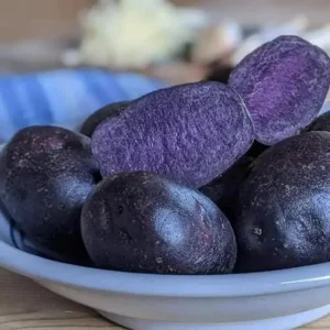 Russet Potato Seeds for Planting Outdoors - 60 Heirloom True Potato Seeds - Image 4