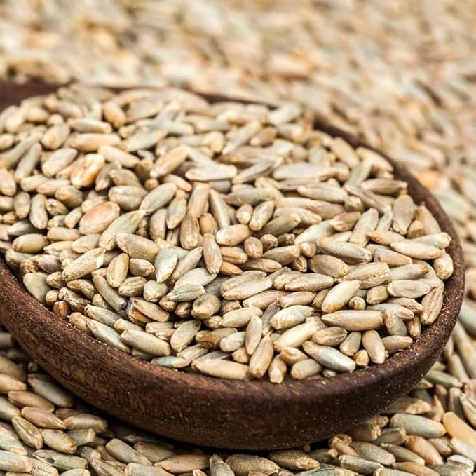 Rye Cover Crop Seeds - 3 Lb Bag, Fast-Growing Grass Seed for Lawns & Gardens, Outdoor - Image 7