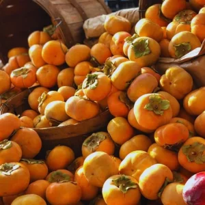 Set 2 Persimmon Trees Live Plants, Dormant and Bare Roots 12-18 Inc Tall, Sweet Persimmon Trees Fruit for Outdoor Planting - Image 4