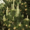 Set of 2 Austrian Pine Live Christmas Trees, 4-6 Inch, 4 Inch Pot, Indoor/Outdoor - Image 1