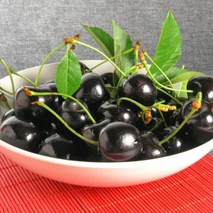 Set of 2 Black Cherry Trees - Live Bare Root Plants, 12-15 Inches Tall, Cold Hardy Perennial Fruit Tree, Outdoor - Image 5