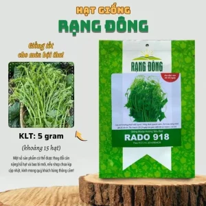 Smooth Luffa Seeds - 15 Count Sponge Gourd Seeds for Planting - Image 2