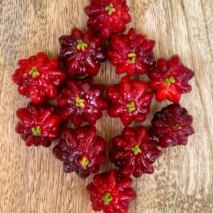 Spicy Pitanga Cherry Live Plant - Eugenia Uniflora Starter, 4-8'' Tall, 2.5