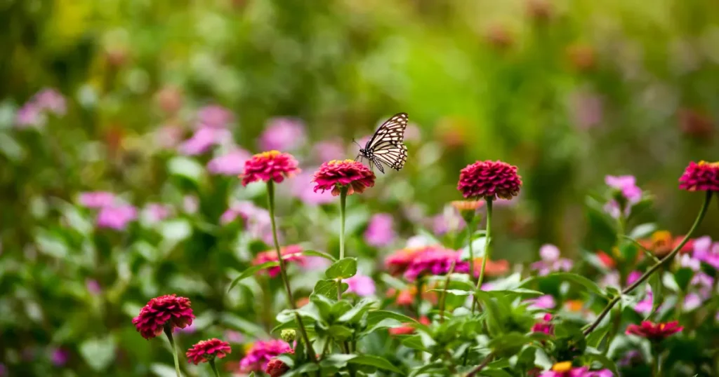 spring gardening checklist