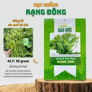 Super Squash Buds Pumpkin Seeds - 80 High Top Planting Seeds for Garden - Image 2