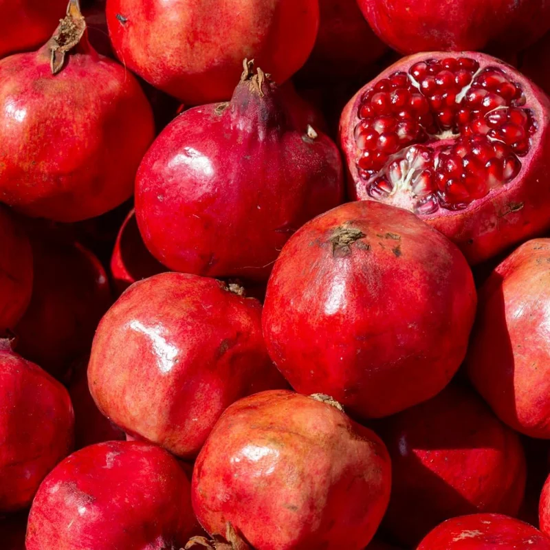 Sweet Pomegranate Live Plant - Fruit Tree for Indoor Growing - 4-7 Inches Tall - Image 2