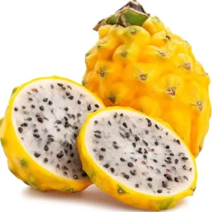 Sweet Yellow Dragon Fruit Live Plant - Pitahaya Cactus 5-8 Inch Tall - Image 6