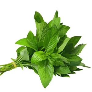 Thai Lemon Basil Seeds - 2000 Seeds for Planting, Aromatic Heirloom Herb - Image 1