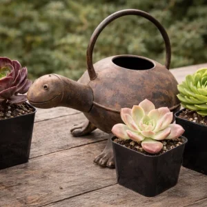 Turtle Watering Can + 3 Succulent Live Plants Bundle - Indoor/Outdoor Decor - Image 1