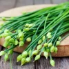 Vietnamese Chives Seeds - Heirloom Culinary Herb for Gardeners (300 Seeds) - Image 1