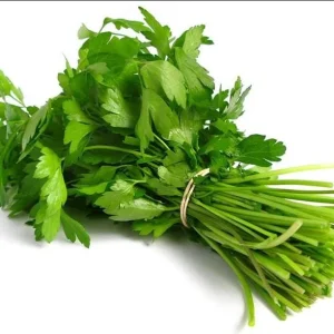 Vietnamese Large Leaf Coriander Seeds - 1000 Count Cilantro Seeds for Planting - Image 2
