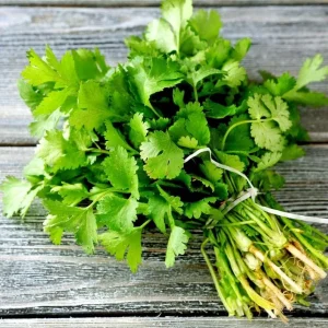 Vietnamese Small Leaf Coriander Seeds - 3000 Cilantro Seeds for Planting - Image 4
