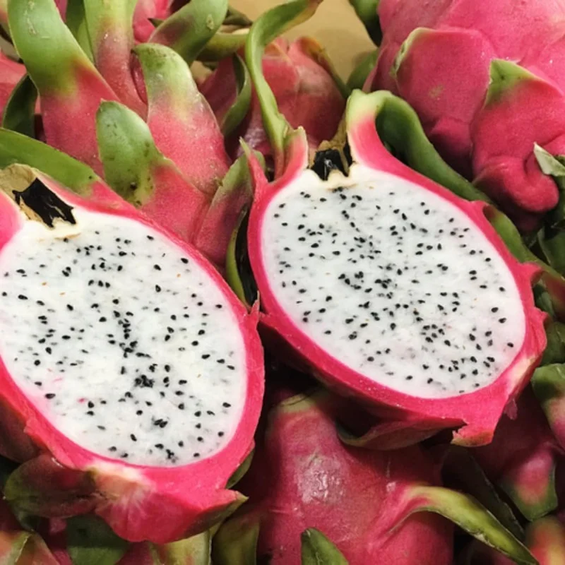 White Dragon Fruit Tree Live Plant, 3 Gallon Pot, Sweet Fruit, Outdoor Garden - Image 6