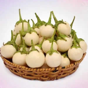 White Mini Round Eggplant Seeds - 100 Seeds for Planting | Thai Variety - Image 3