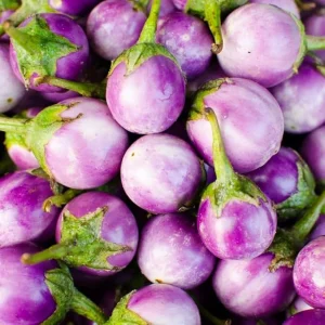 White Purple Eggplant Seeds - 100 Count for Outdoor Garden Planting - Image 7