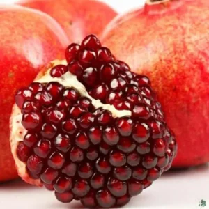 Wonderful Pomegranate Live Plant, Cold Hardy Fruit Tree, 4-7 Inches Long - Image 3