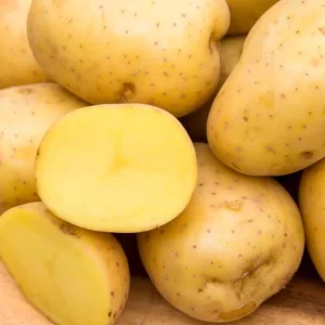 Yukon Gold Potato Seeds - 70 Seeds for Planting, Easy Growing - Image 1