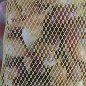 50 Count Mixed Onion Bulb Assortment – Red, White, Yellow Varieties – Non-GMO - Image 2