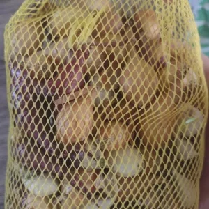 50 Count Mixed Onion Bulb Assortment – Red, White, Yellow Varieties – Non-GMO - Image 1