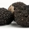 Black Oregon Truffle Mushroom Spores Mycelium - Dry Seeds for Cultivation - Image 1