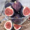 Fignomenal Fig Live Plant Set - 4 Dwarf Edible Fruit Trees 4-6" Tall - Image 1
